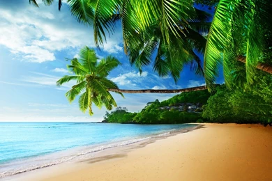 Tropical Beach Pictures Hammock Wallpapers For Android   Kemecer.com