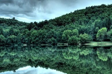 Tropical Rainforest Desktop Wallpapers