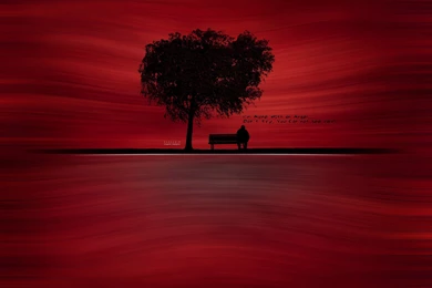 40 Crisp Red Wallpapers For Desktop, Laptop And Tablet Devices