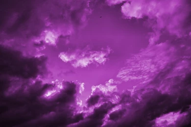 Purple Backgrounds