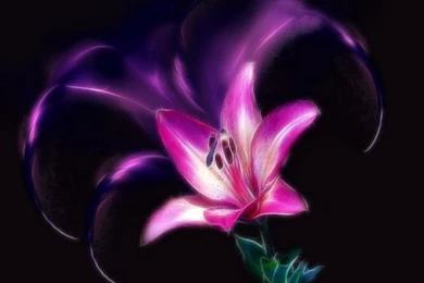 Purple Butterfly And Stars Wallpapers