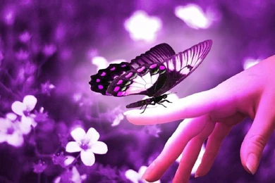 Cute Purple Backgrounds