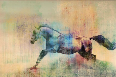 Horses Painting Art Animals Horse Wallpapers