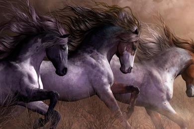 ART HORSES PAINTING DESKTOP BACKGROUND WALLPAPER (1080p)   HD IMAGE