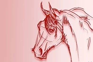 Horse Wallpapers By Horseartaddict On DeviantArt