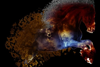 Art Wallpapers Abstract Horse