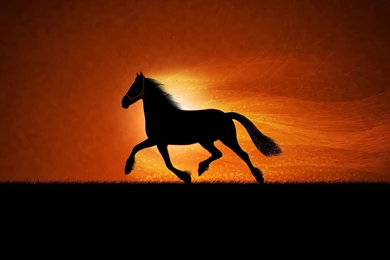 Horse Sunrise Art Wallpapers