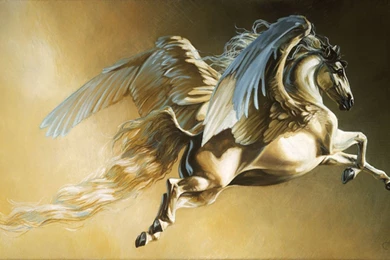 Pegasus Freedom Animal Horse Fantasy Art Wings Beautiful Wallpapers ...