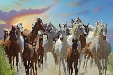 Art Of Horses