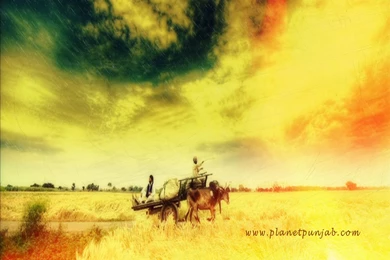 Punjabi Village Wallpapers   PlanetPunjab