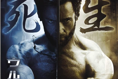 X Men Days Of Future Past Wolverine Wallpapers Wide For Desktop ...