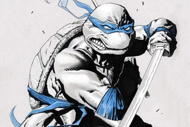A Showcase Of Various Teenage Mutant Ninja Turtles Artworks ...