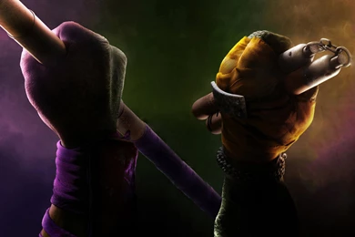 Raphael Leonardo TMNT 2014