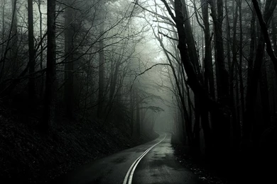 Dark,black And White Black And White Dark Wtf Geek Funny Evolution ...