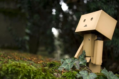 Lovely Box Danbo Wallpapers 3 － Other Wallpapers   Free Download ...