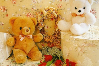 Lovely Teddy Bear's Images ~ Atoz Desktop Wallpapers