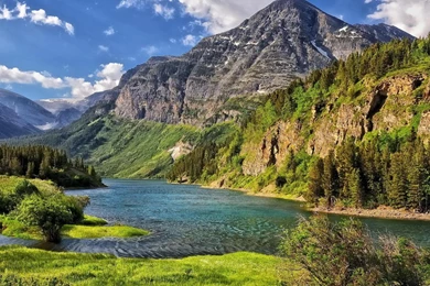 WELL WATERED LIFE   ABIDING IN THE VINE