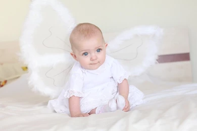 Wallpapers Free Images Of Baby Angels Little Angel 1600x900 ...