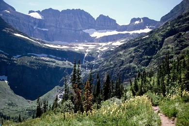 Salamander Glacier Falls, Glacier National Park, Montana < Nature ...