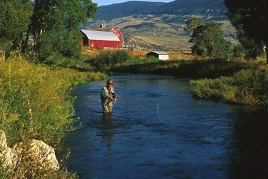 ARMSTRONG SPRING CREEK MONTANA WALLPAPER   (