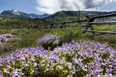 Montana Wallpapers HD Backgrounds Download Desktop • IPhones Wallpapers