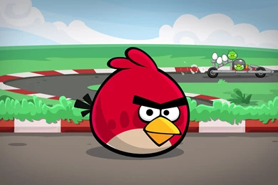 Angry Birds!   Pictures Collection Free Download   Mobogenie.com