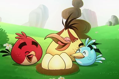 Latest Angry Birds Hd Wallpapers Free Download