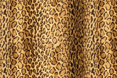 Awesome Cheetah Prints Backgrounds Inventiveness ~ Blanket ...