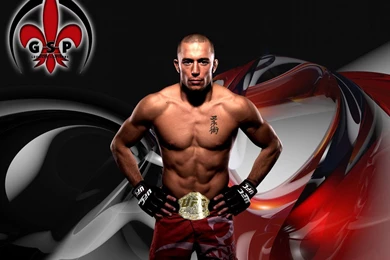 Georges St Pierre Wallpapers GSP UFC 8