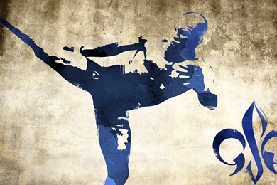 George St Pierre Wallpaper Images