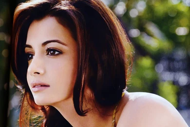 Charming Dia Mirza Wides WallpaperFree Download HD Wallpapers ...