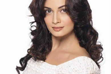 Dia Mirza Images Wallpapers HD Pictures   Photo Gallery