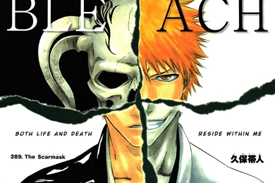 Bleach HD Wallpapers Mangga Series