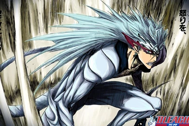 The Vulgarian Noise Pantera Bleach Manga Anime Hd Wallpapers ...