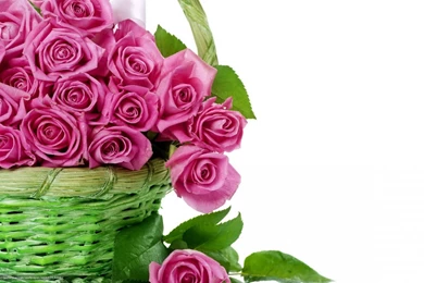 456014_rozy_cvety_krasivye_rozovye_buket_korzina_korzinka_1680x1050_www.Gde Fon.com.jpg