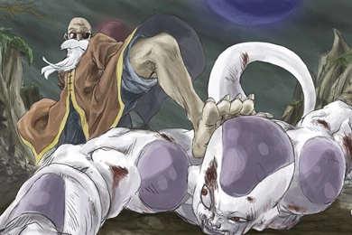 Master Roshi   Dragon Ball Wallpapers » WallDevil   Best Free HD ...
