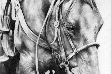 Repro Of Quarter Horse By Ryerd On DeviantArt