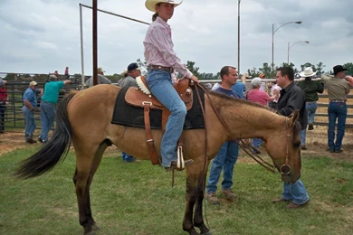 Buckskin Quarter Horse By Londondesgins On DeviantArt