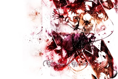 Kingdom Hearts Wallpapers Hd DrtB 19813 Hd Pictures