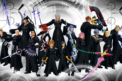 Kingdom Hearts Organization 13, 1920x1080 HD Wallpapers And FREE ...