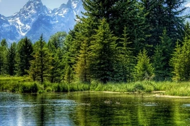 World Beautiful Wallpapers Free Download   Wallpapers For Mobile