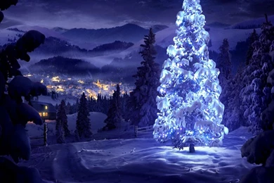 Download White Winter Wallpapers 1440 X 1280 Wallpapers   2931875 ...