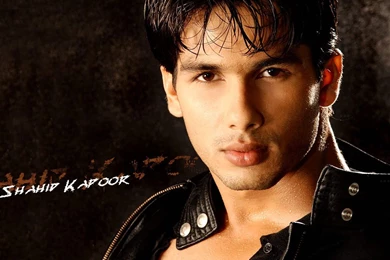 All Bollywood Actors Wallpapers Free Download Shahid Kapoor ...