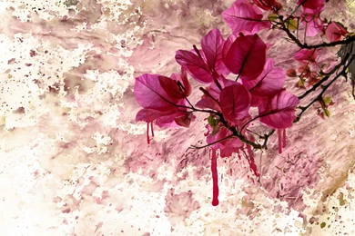 Paint On Wallpapers 2015   Grasscloth Wallpapers