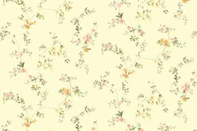 Peach Prepasted Wallpapers