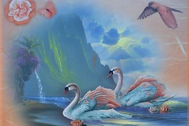 PEACH COLOR FANTASY Wallpapers