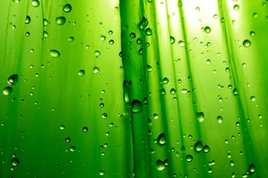 Abstract Backgrounds Green   Splendid Wallpapers HD