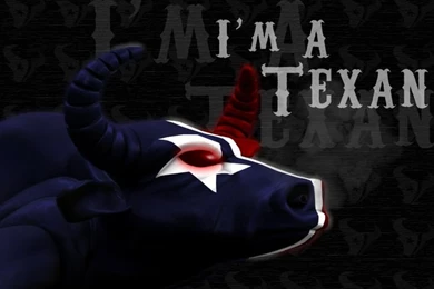 Houston Texans On Pinterest