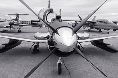 Top Texan 2 Wallpapers