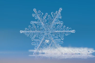 Beautiful Purple Flower Wallpapers HD Resolution : Flower ...